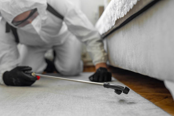 Professional Pest Control technician working in Loop, PA