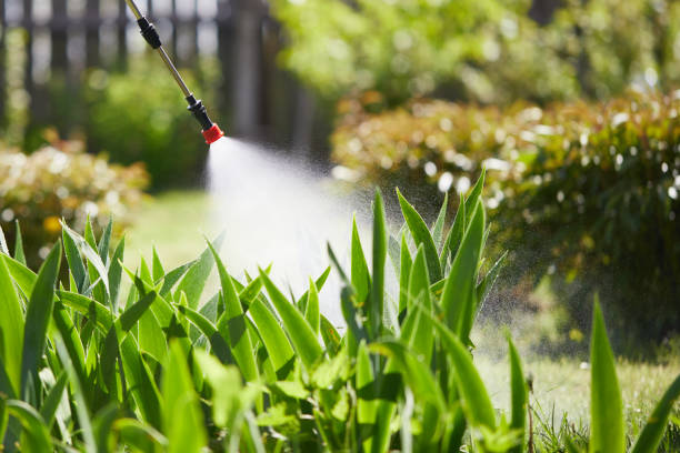 24/7 Emergency Pest Control experts in Loop, PA